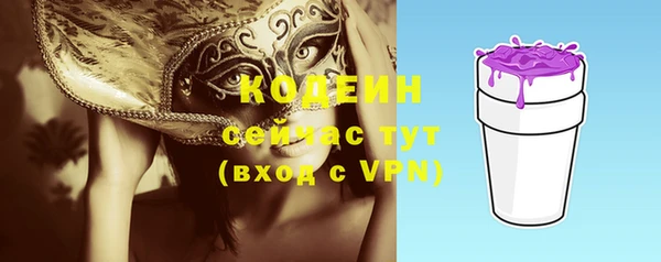 ПСИЛОЦИБИНОВЫЕ ГРИБЫ Рославль