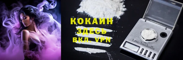 ПСИЛОЦИБИНОВЫЕ ГРИБЫ Рославль
