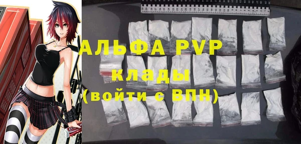 ПСИЛОЦИБИНОВЫЕ ГРИБЫ Рославль