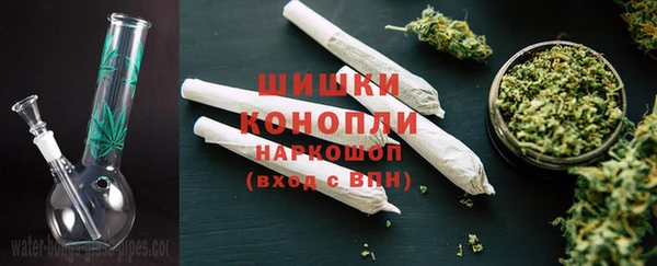 ПСИЛОЦИБИНОВЫЕ ГРИБЫ Рославль