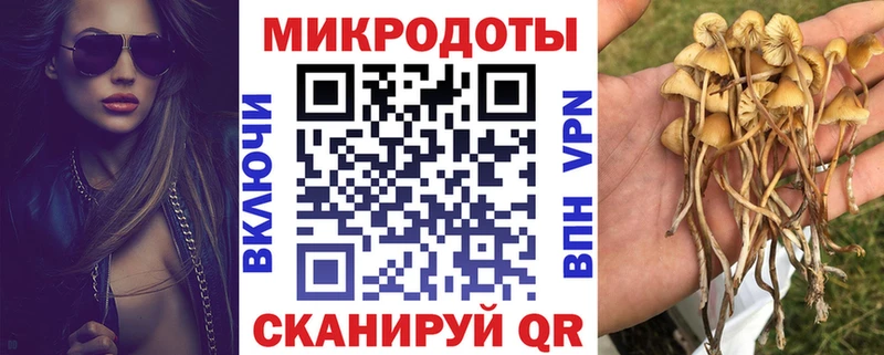 Купить закладки  Курчатов  Галлюциногенные грибы Psilocybine cubensis 