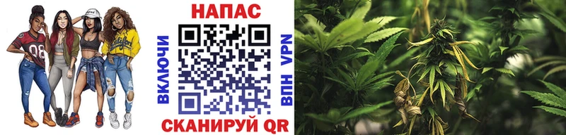 Бошки марихуана THC 21%  Купить  Курчатов 